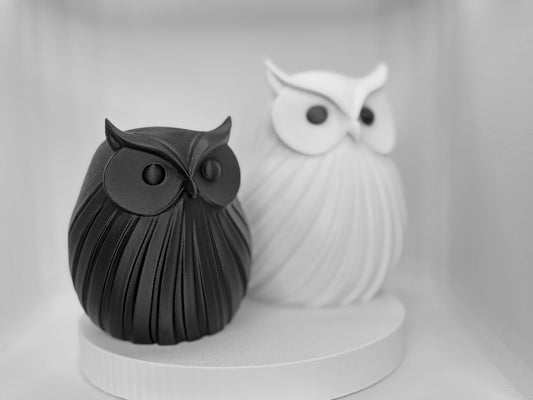 The Midnight & Snowfall Owl Duo
