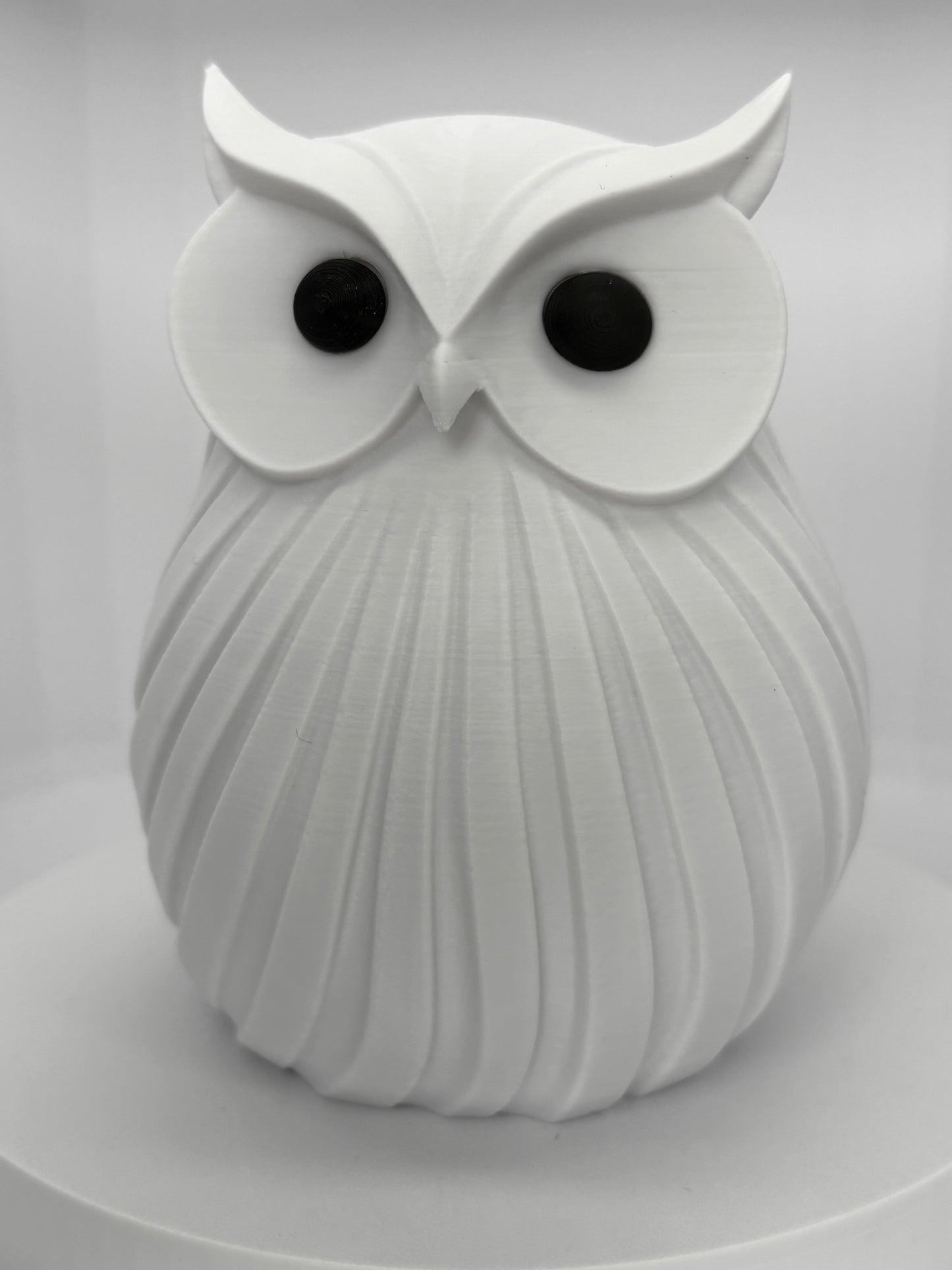 The Midnight & Snowfall Owl Duo