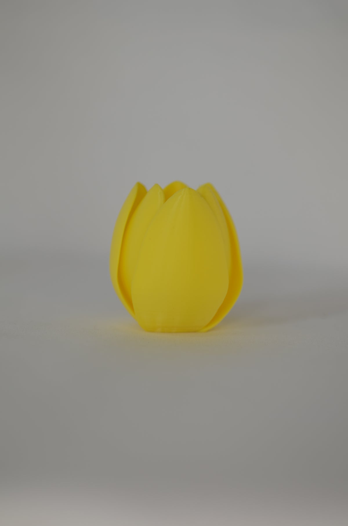 3D Printed Tulip Stem — Choose Your Colour, Size & Style