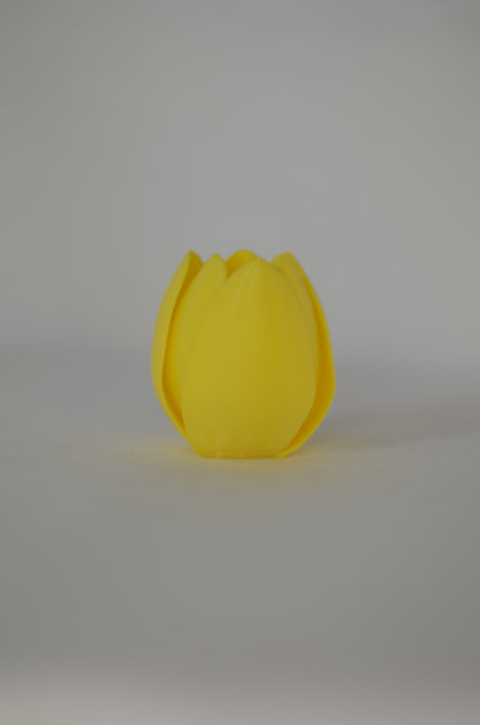 3D Printed Tulip Stem — Choose Your Colour, Size & Style